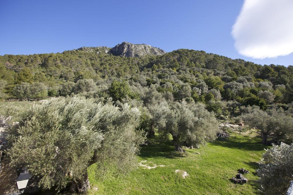 Finca Es Castell Binibona Exterior foto